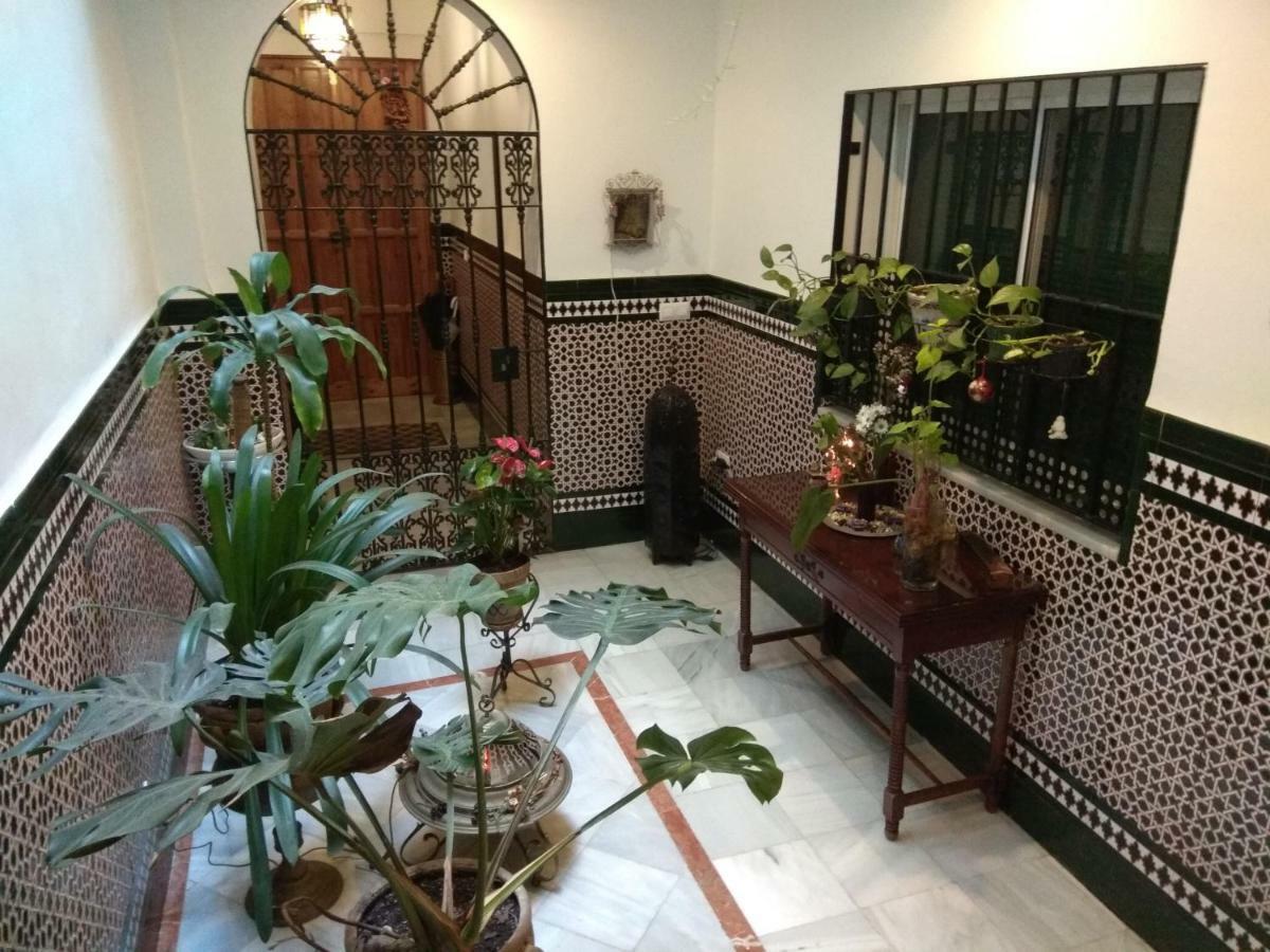 Oasi Macarena Apartment Sevilla Exterior foto