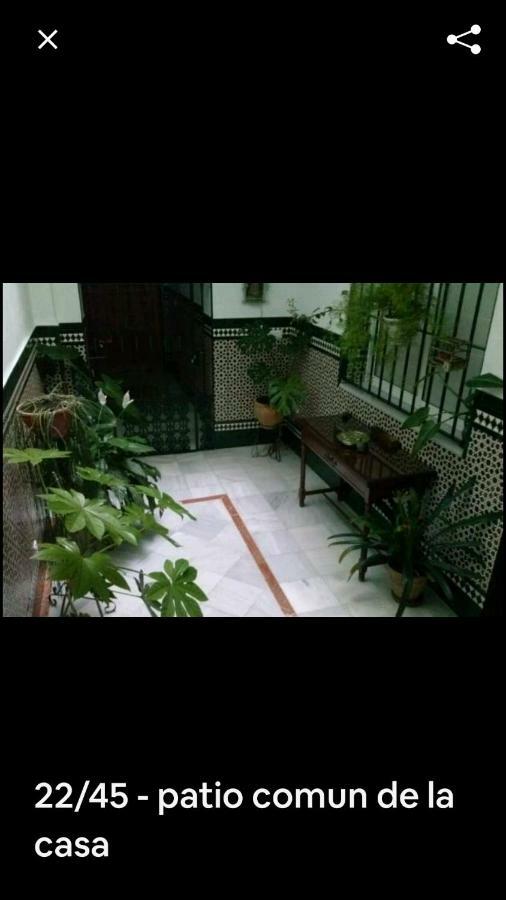 Oasi Macarena Apartment Sevilla Exterior foto